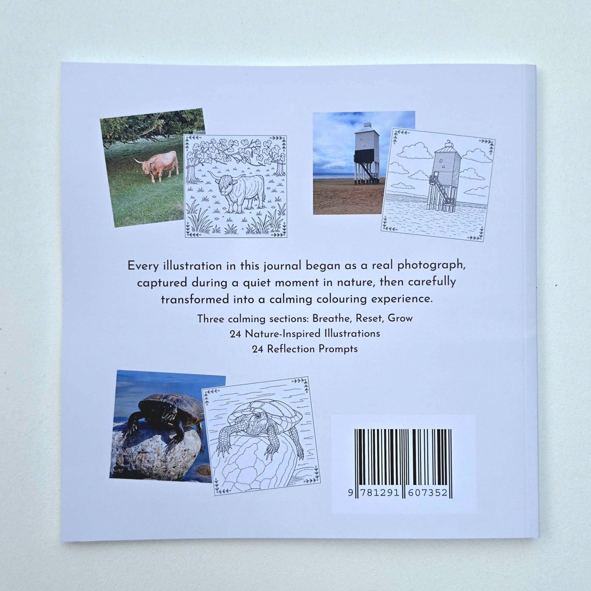 The back cover of a journal with text and several small illustrations, including a cow, a landscape and a turtle.