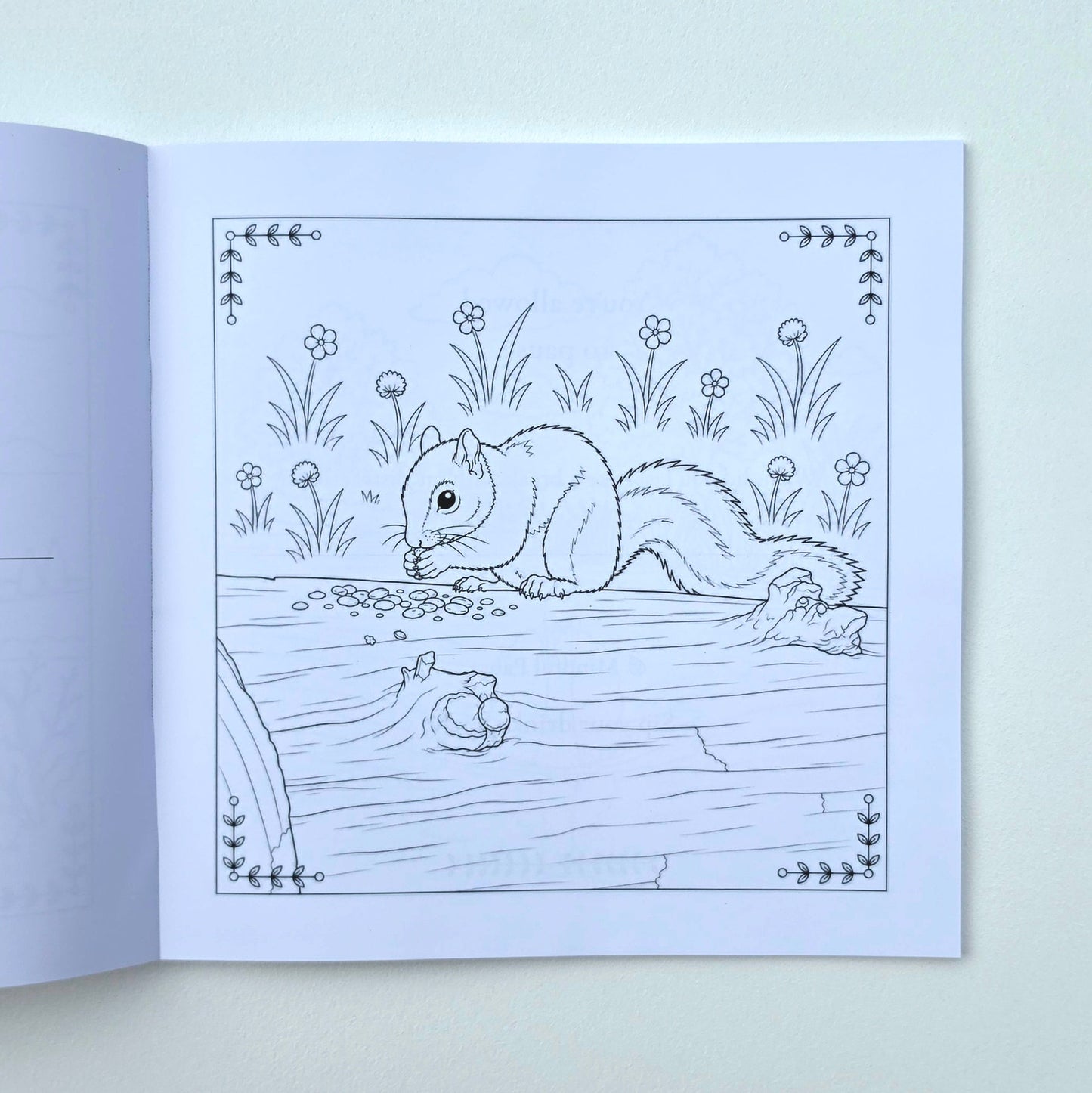 An open coloring book or art print showing a black-and-white line drawing of a squirrel in a natural setting with flowers.