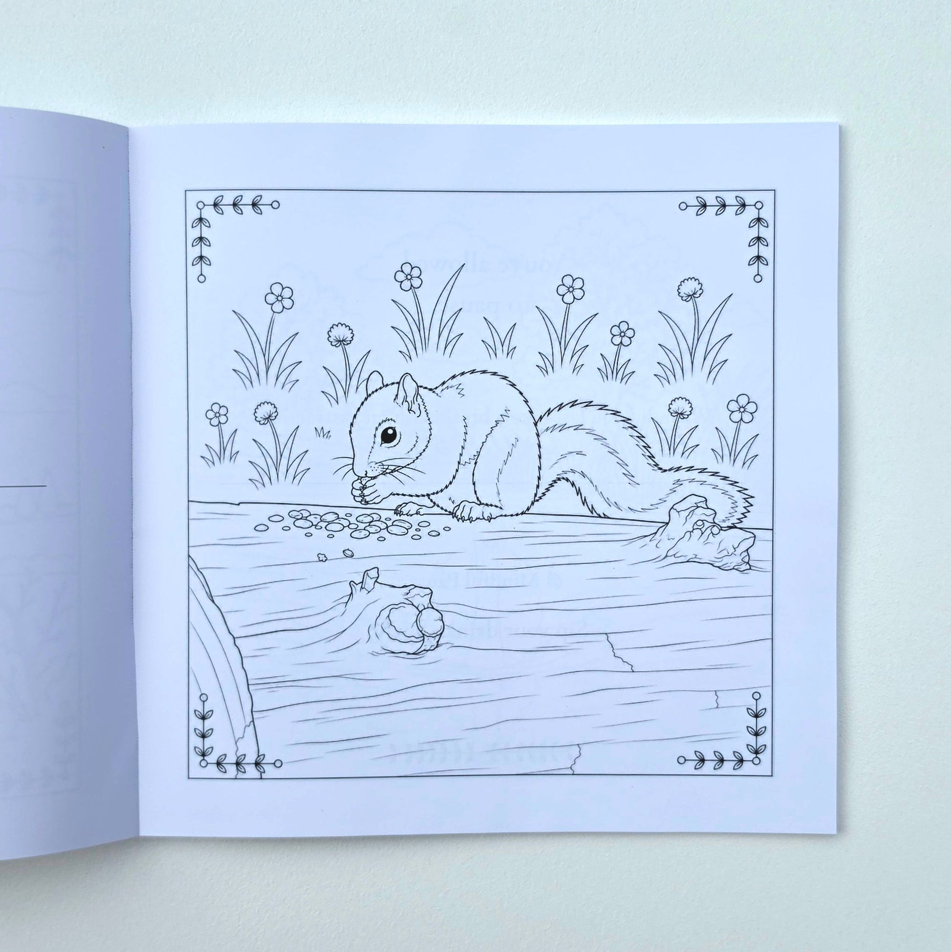 An open coloring book or art print showing a black-and-white line drawing of a squirrel in a natural setting with flowers.