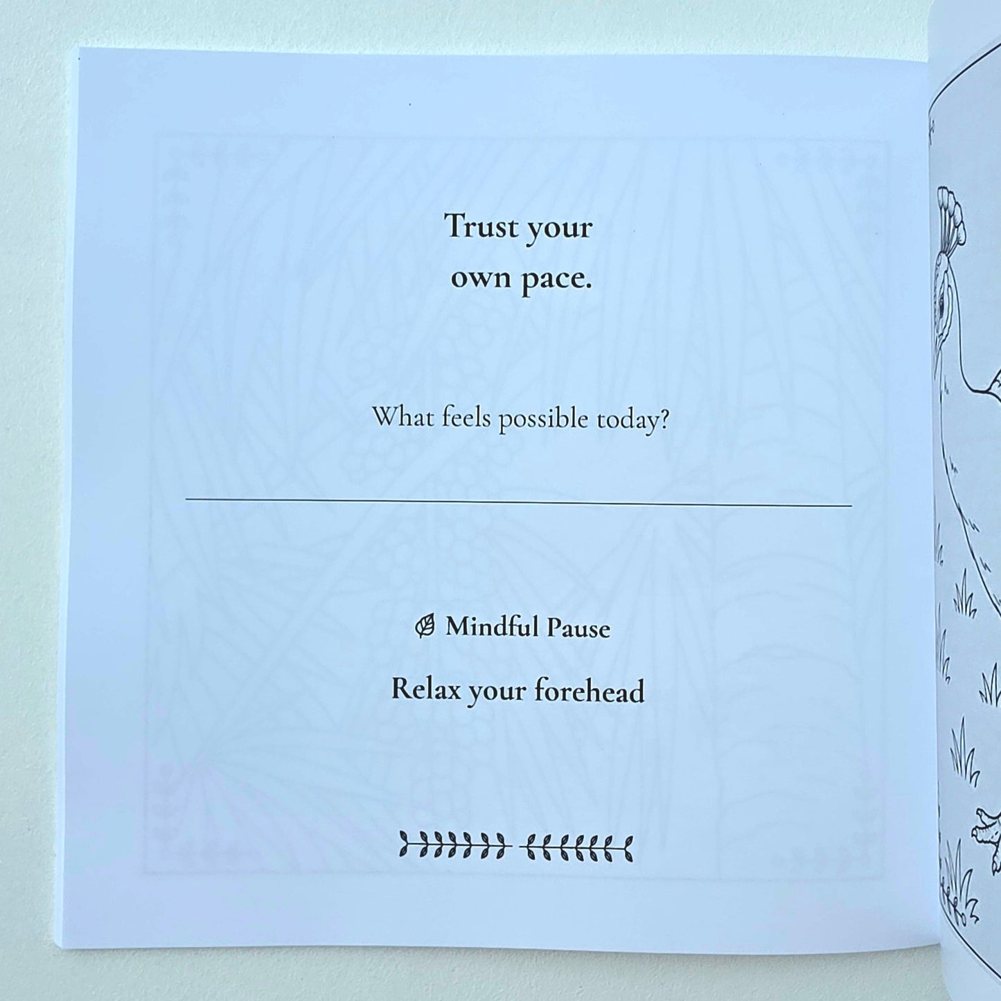 A printed page from a journal or meditation guide with black text on white paper, including the phrases 'Trust your own pace,' 'What feels possible today?', 'Mindful Pause,' and 'Relax your forehead.' 