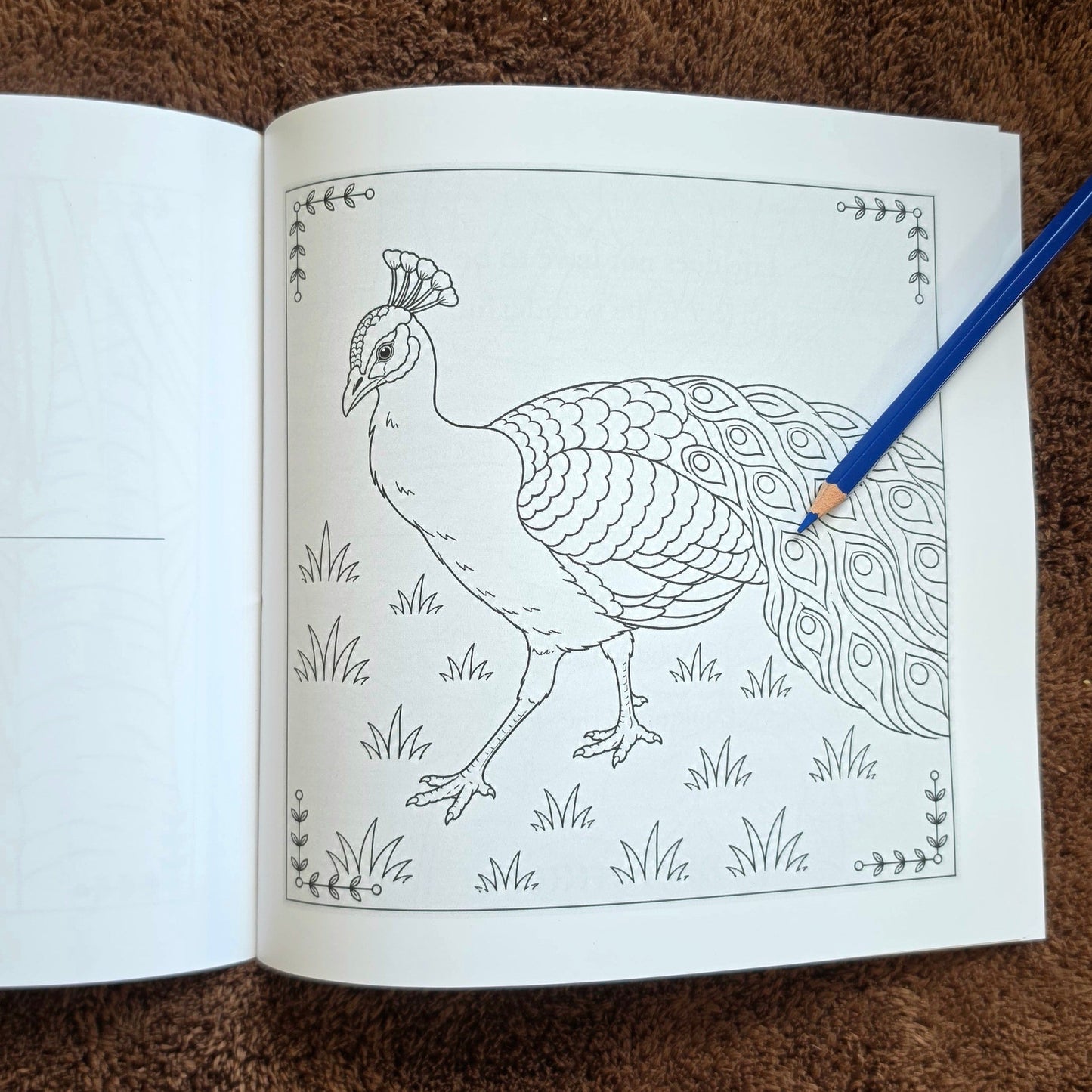 An open coloring book showing a black-and-white peacock illustration on one page, with colored pencils placed on the brown textured surface around it.